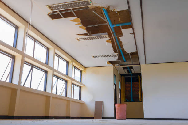 Best Water damage restoration near me  in Stonewall, MS