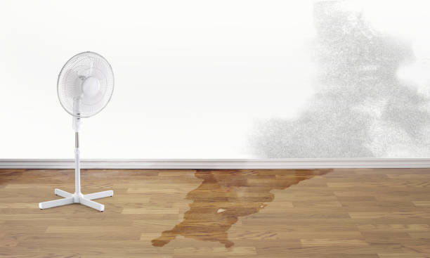 Best Water damage restoration near me  in Stonewall, MS