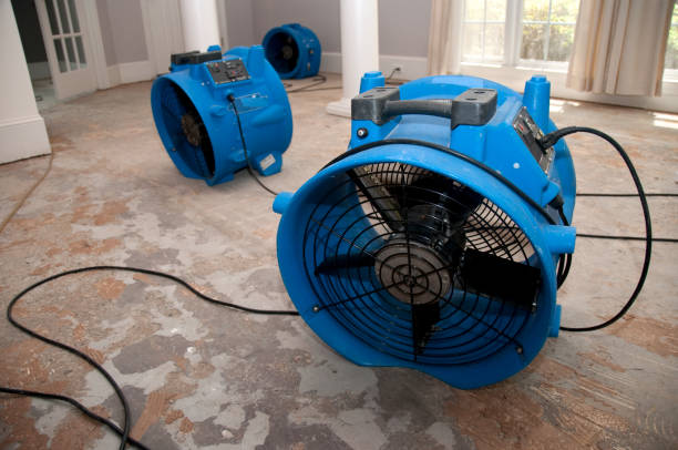 Best Basement water damage restoration  in Stonewall, MS