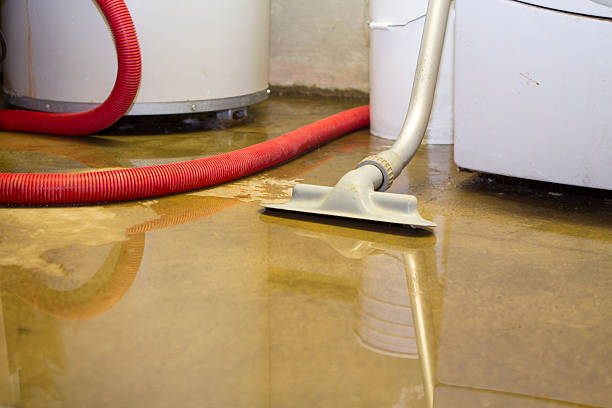 Best Sewage cleanup and water damage restoration  in Stonewall, MS