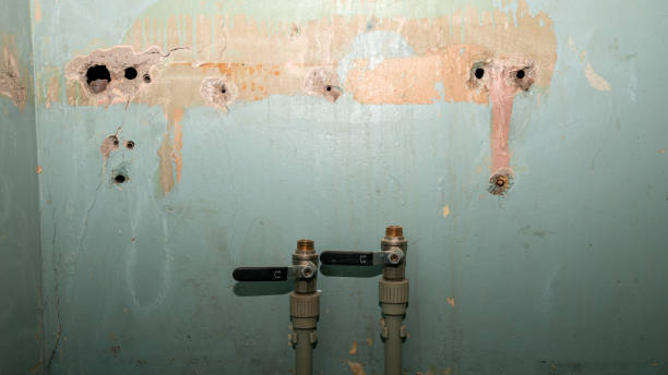 Best Professional water damage repair  in Stonewall, MS