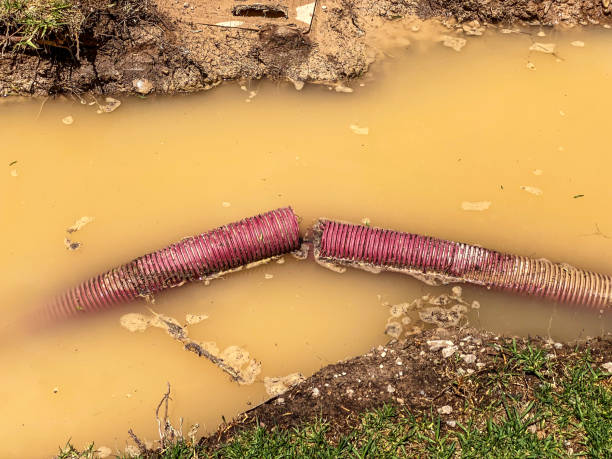Best 24/7 water damage repair  in Stonewall, MS