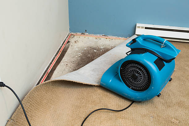 Best 24-hour water damage restoration  in Stonewall, MS